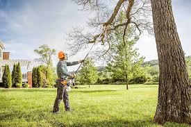 Best Tree Trimming and Pruning  in Murphysboro, IL